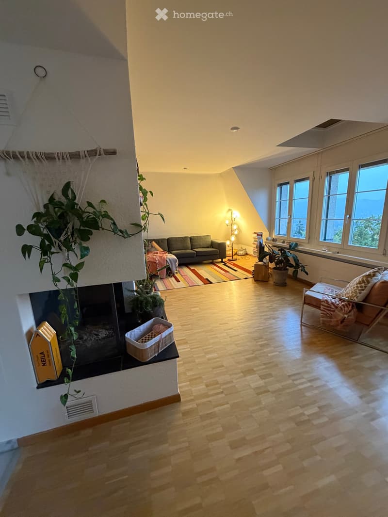 Bright living room with wooden flooring, large windows, a grey sofa, a fireplace, a chair, and a potted plant. The room features a colorful striped rug and a floor lamp near the windows.