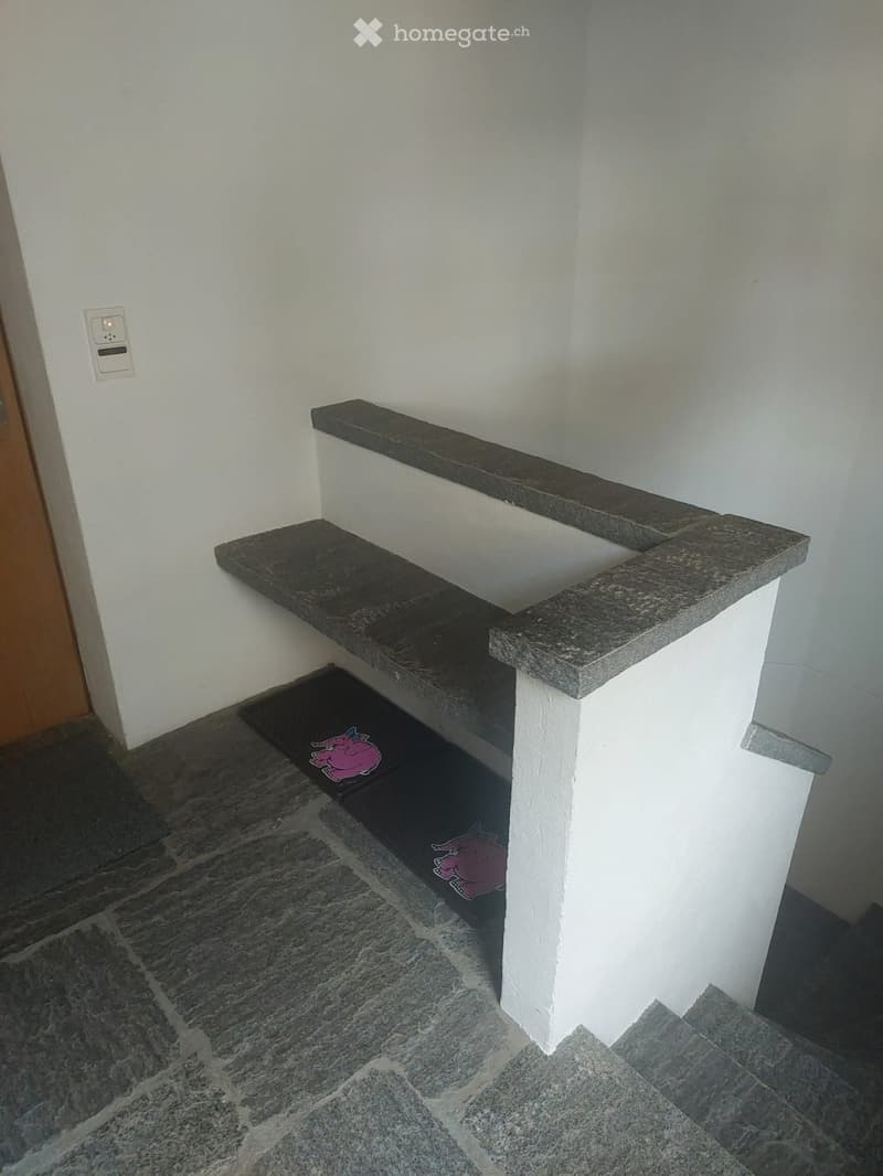 A narrow hallway with a stone staircase, white walls, and a small doormat featuring a pink elephant design.