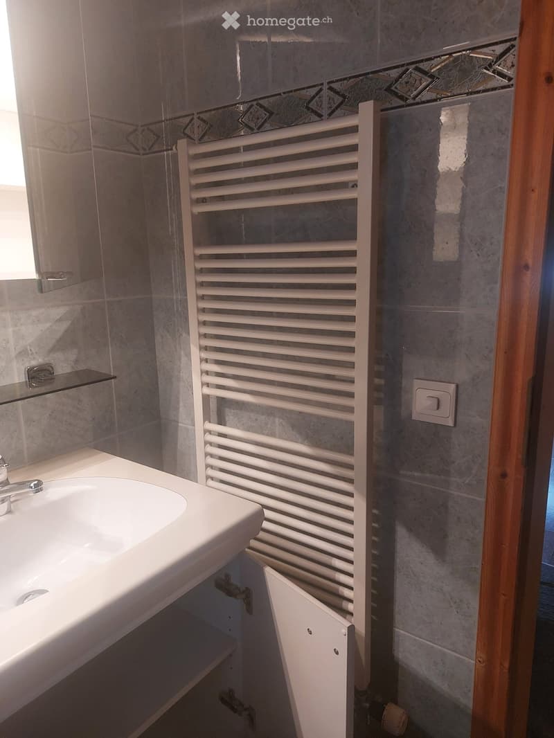 Modern bathroom with a white sink, chrome faucet, radiator, and open cabinet under the sink.