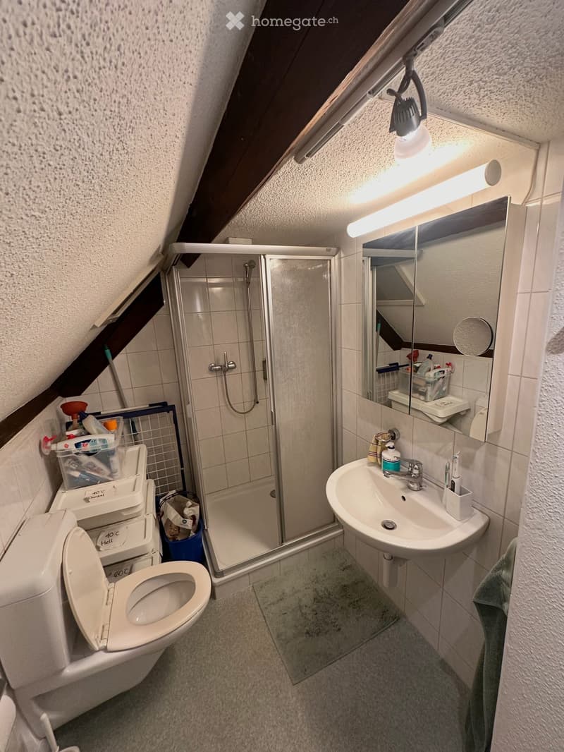 Charmante 1.5 Zimmer Dachwohnung (unbefristete Untermiete) (3)