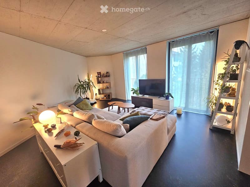 Modern living room with a large sectional sofa, coffee table, side tables, TV, shelves, and decorative plants.