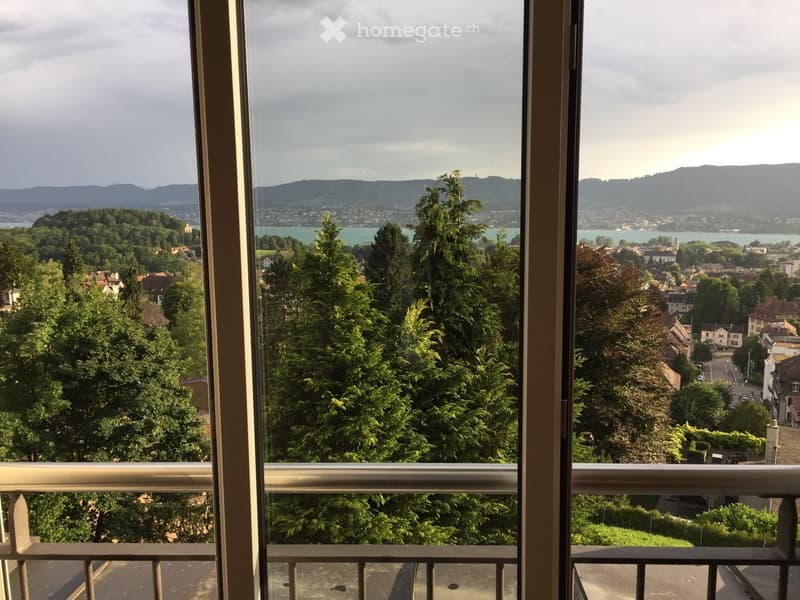 Balcony with a view of a cityscape, trees, and a lake in the distance.
