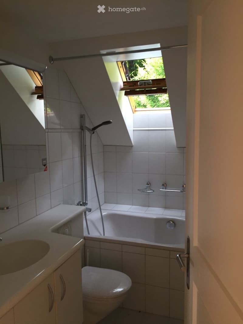 Bathroom with a bathtub, toilet, sink, and showerhead. Features a skylight window above the bathtub and tiled walls.