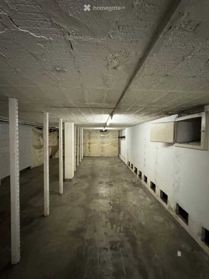 Dépôt de 56 m² au centre de Genève (proche de la gare) – Reprise de bail (4)
