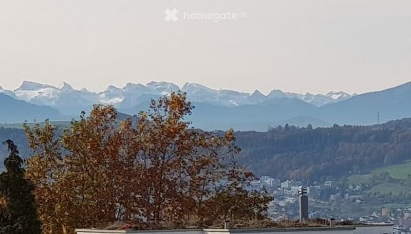{"visible_features": ["View"],"type": "Landscape","description": "The image shows a scenic view of a mountainous landscape with a town or city in the foreground. The mountains in the background are snow-capped, indicating a high-altitude location. There