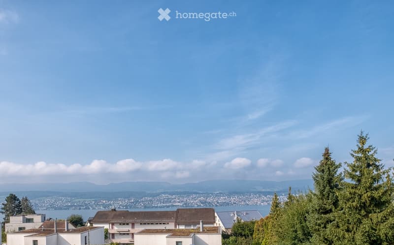 {"visible_features": ["View"],"type": "Landscape","description": "The image shows a scenic view of a city nestled in a valley, surrounded by mountains and forests. The sky is clear and blue, with some wispy clouds. The city appears to be situated near a l