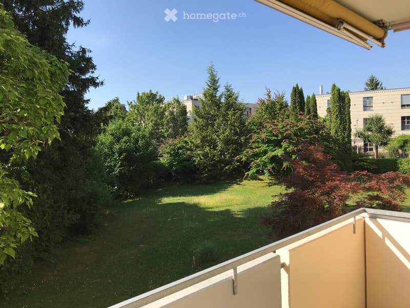 A well-maintained garden with green grass, various trees, and shrubs, viewed from a balcony with a clear blue sky in the background.