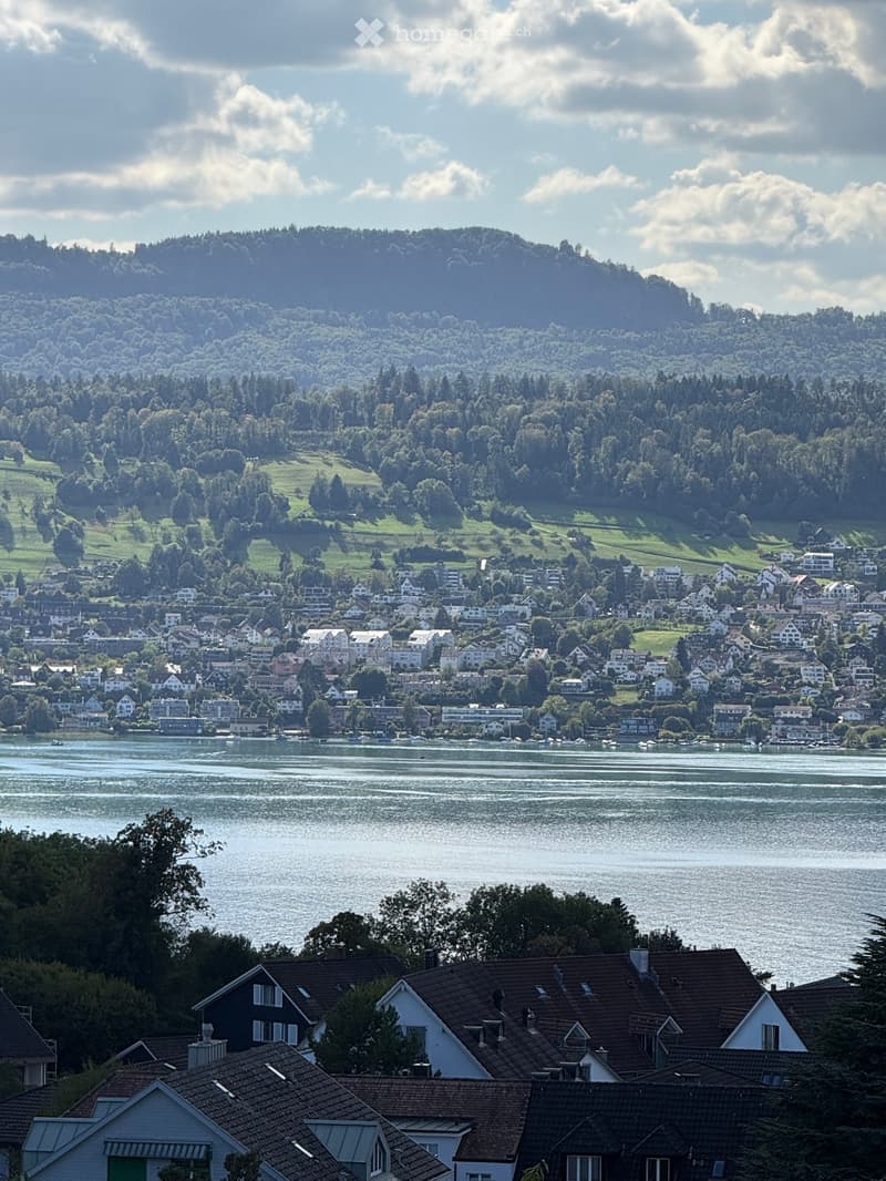 A scenic view of a town situated along a lake, with houses and buildings clustered on the shore, surrounded by lush green hills and trees under a partly cloudy sky.
