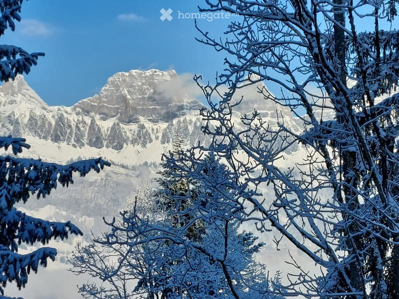 trees with snow, mountain range, valley, and blue sky