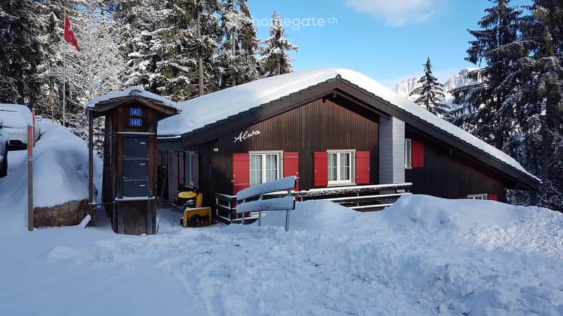 brown wooden chalet style house, red shutters, snow covered roof, snow covering the ground, flag pole, yellow snow blower
