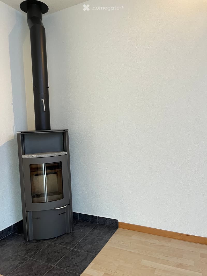 Empty room with a modern wood-burning stove and a chimney, featuring a mix of dark tiled and light wooden flooring.