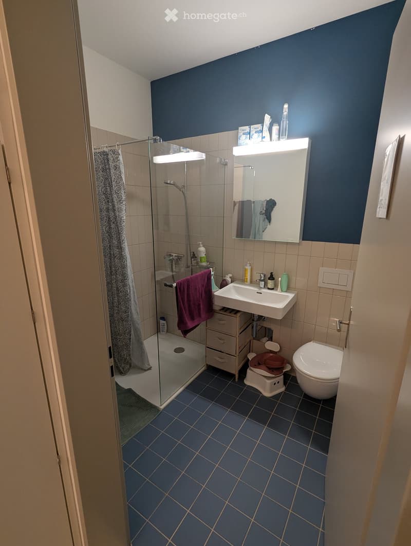 Bathroom with blue tiles, a sink, toilet, mirror, shower, and a small stool with a bowl on it.