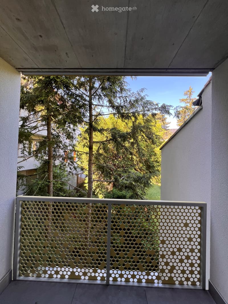 Möbliertes Wohnobjekt in Basel (4)