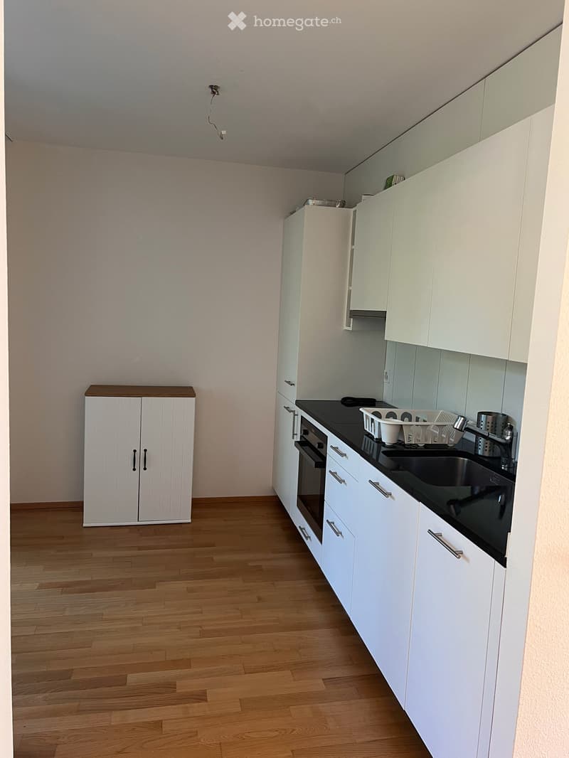 Möbliertes Wohnobjekt in Basel (3)