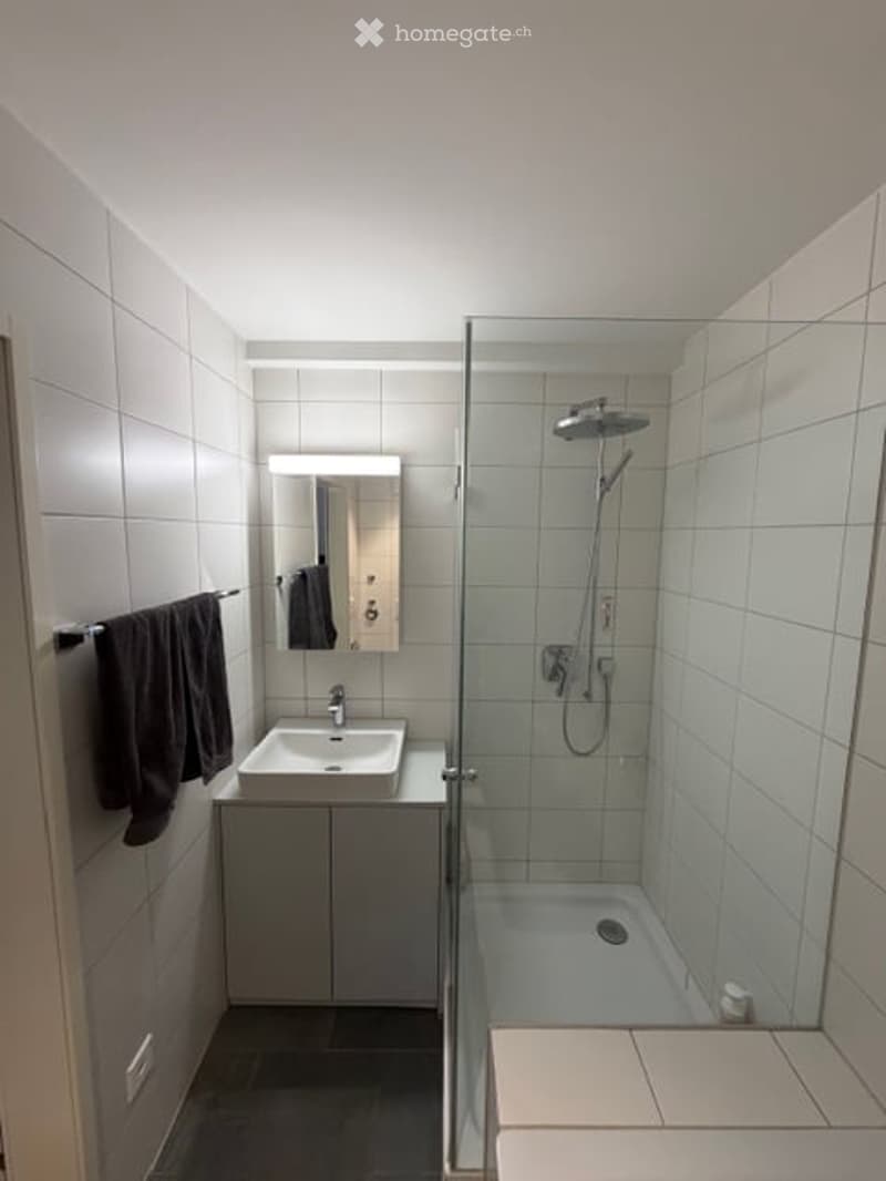 Modern bathroom with white tiled walls, a glass-enclosed shower, a white sink with a mirror, and a towel rack with dark towels.