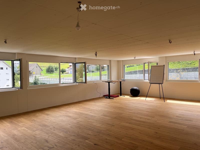 Bright, unfurnished room with wooden flooring, large windows, and minimal furniture including a table, chairs, a ball, and a screen.