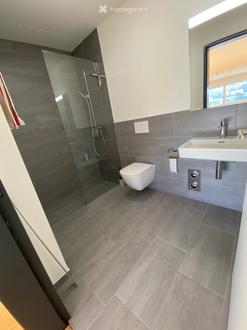 Modern bathroom with grey tiles, a white toilet, a sink with a modern faucet, and a glass-enclosed shower area.