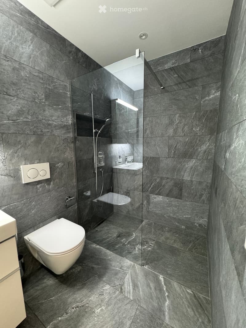 Modern bathroom with dark grey marble tiles, a white toilet, a sink with a mirror, and a glass-enclosed shower area.