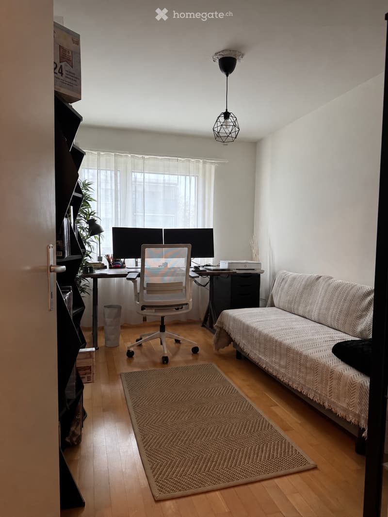 A cozy, multi-functional room with a sofa, desk, and chair. Features a modern lamp, a woven rug, and a plant near the window.