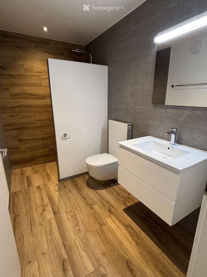 Modern bathroom with wooden flooring, white toilet, sink, and mirrored cabinet.
