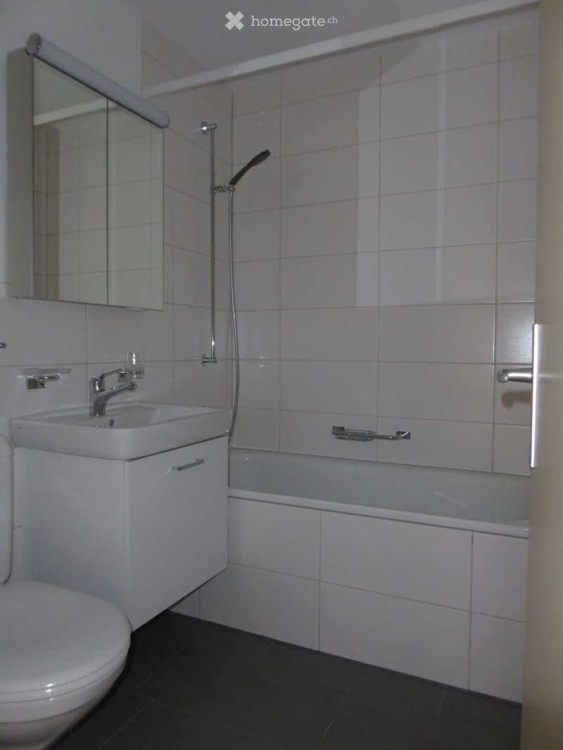 Modern bathroom with white tiles, a sink with a faucet, a mirror, a toilet, and a bathtub with a showerhead.