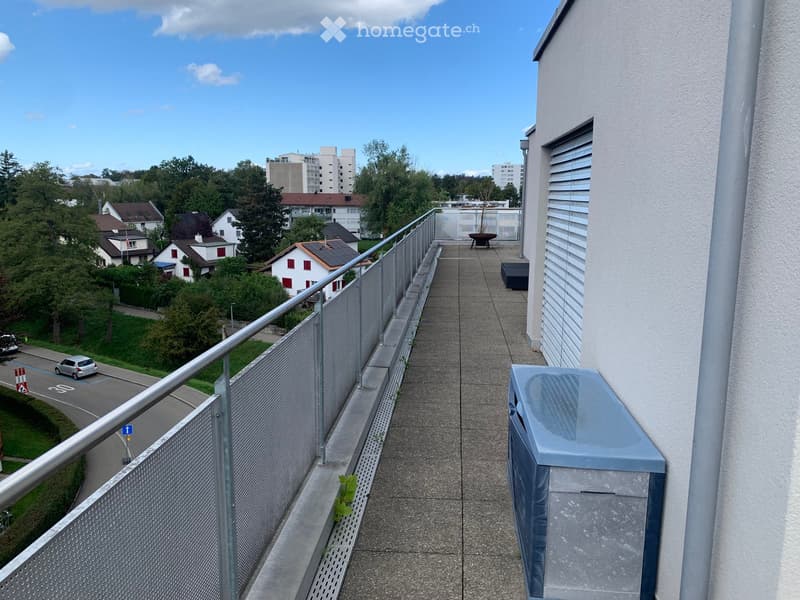 Balcony with metal railing, concrete floor, small potted plant, and a trash bin. The view shows a residential area with houses, trees, and parked cars.
