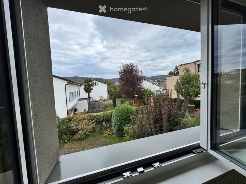 View from a window showing a garden with various shrubs and trees, and neighboring houses in the background under a cloudy sky.