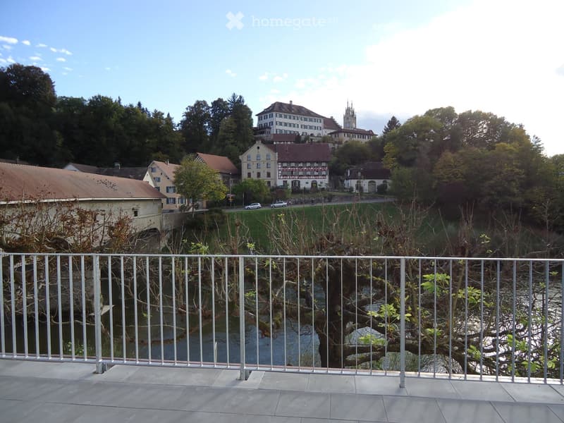 Balcony overlooking a river with a metal railing, trees, and distant buildings visible in the background.