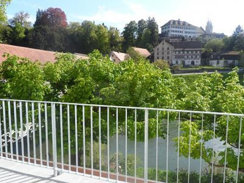 Balcony overlooking a river with surrounding greenery and distant buildings.