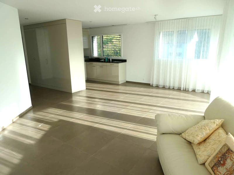 Bright living room with a beige sofa, patterned pillows, and a small kitchen area with white cabinets and a sink.
