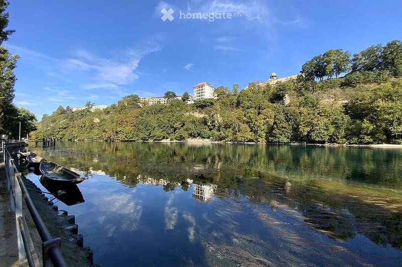A serene riverside scene with calm water, small boats docked along a stone embankment, and lush green trees lining the opposite bank. A historic building is visible in the background atop a hill.