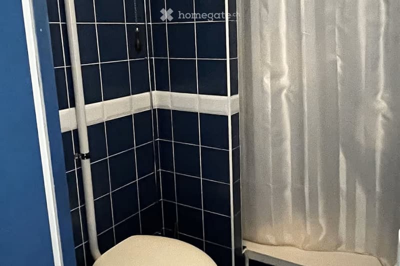 Bathroom with dark blue tiles, a toilet, and a shower curtain.