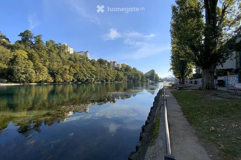 A serene riverside scene with calm water reflecting surrounding trees and buildings, a paved walkway lined with trees, and distant urban structures visible on the opposite bank.