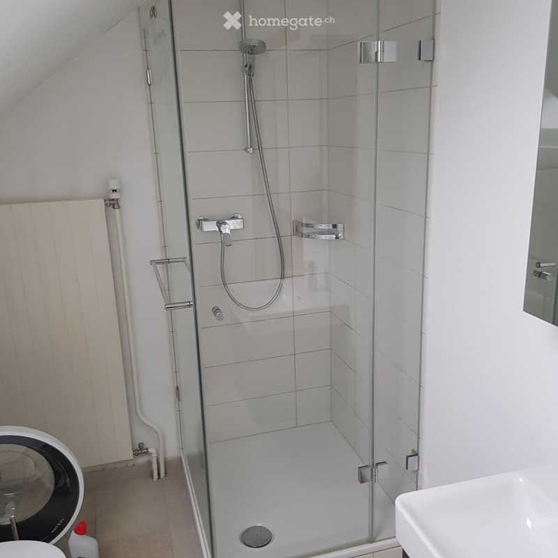 Dachwohnung in Rüti ZH (4)