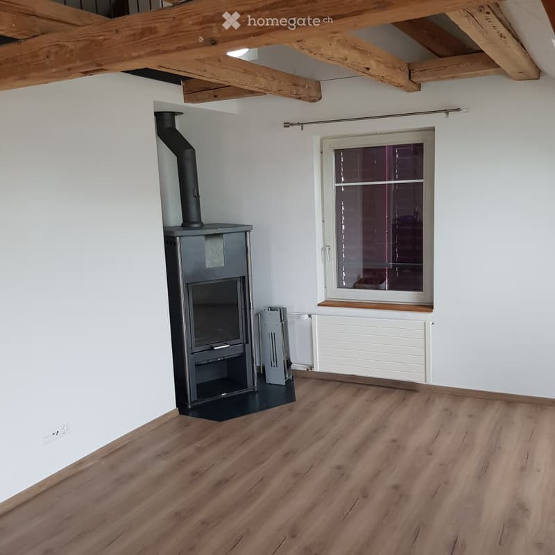 Dachwohnung in Rüti ZH (5)