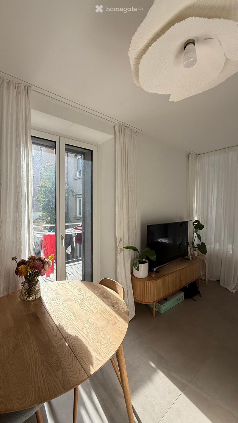 Bright living room with a wooden dining table, chairs, TV on a wooden stand, and a potted plant near the window. Large sliding glass doors lead to a balcony.