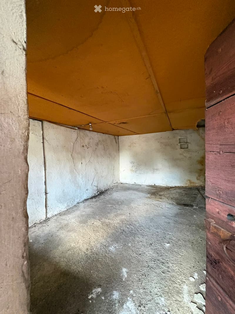 Empty room with concrete floor, white walls, and a slanted wooden ceiling. No furniture or equipment present.
