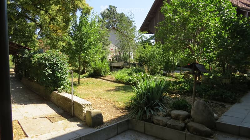 Garden with grass, rock garden, a variety of plants and trees, concrete pathway, wooden bench