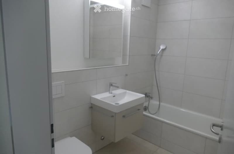 Modern bathroom with white tiles, a sink with a mirror above, a bathtub with a handheld shower, and a toilet.