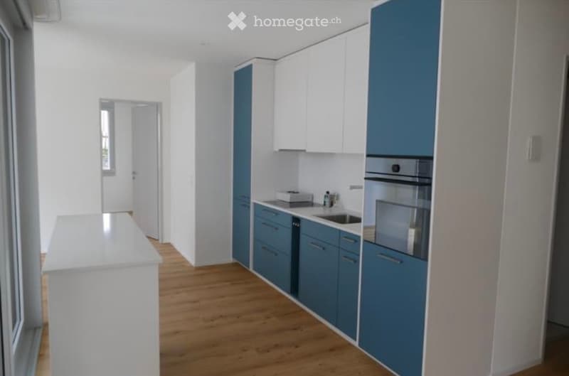 Modern kitchen with white and blue cabinets, wooden flooring, and stainless steel appliances.
