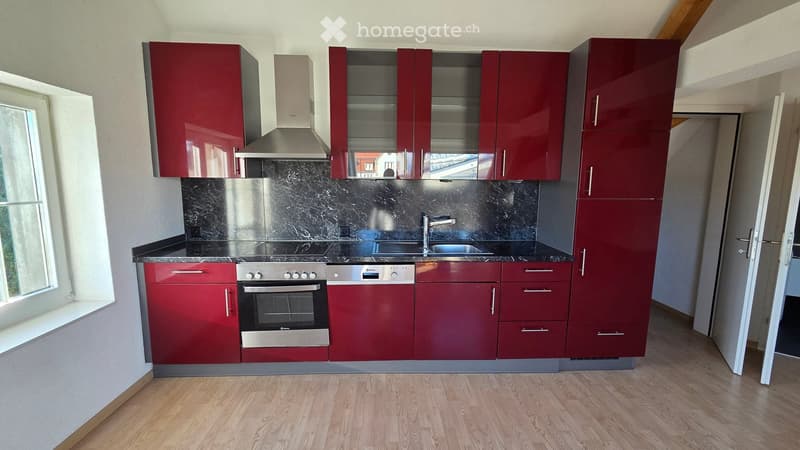 Modern kitchen with red cabinets, stainless steel appliances, marble backsplash, and wooden flooring.