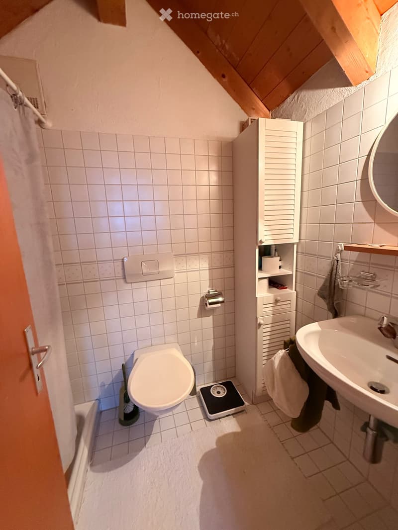 Einmalige Aussicht - Duplex-/Maisonette-Wohnung in Greifensee (7)