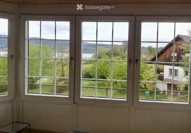A room with large windows offering a scenic view of a lake and surrounding greenery, featuring a small glass table near the windows.