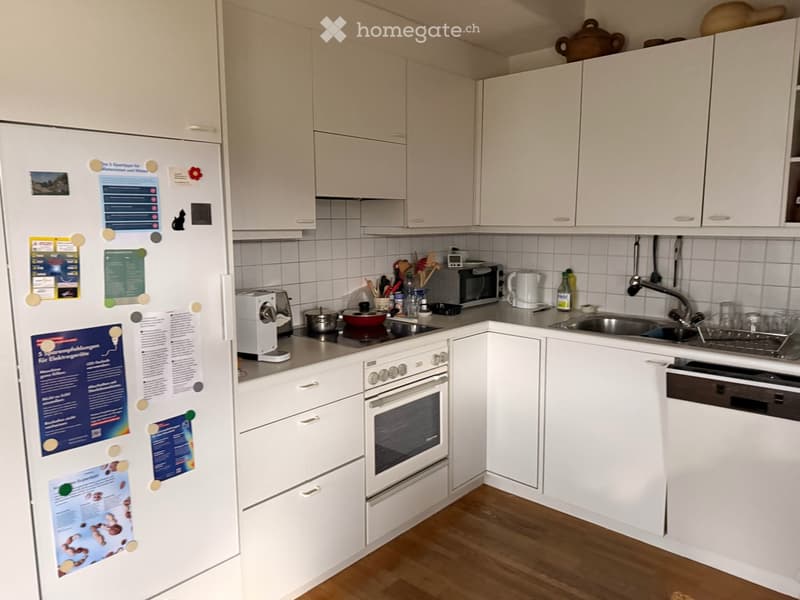 Einmalige Aussicht - Duplex-/Maisonette-Wohnung in Greifensee (6)