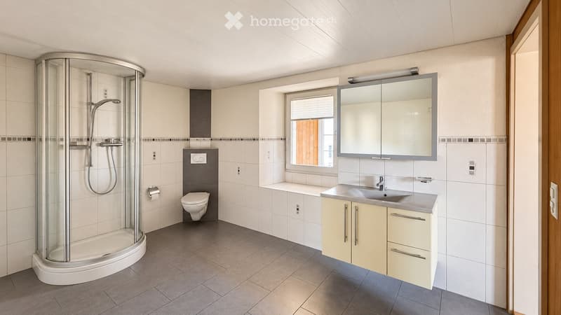 Modern bathroom with a walk-in shower, toilet, sink, and mirrored cabinet.