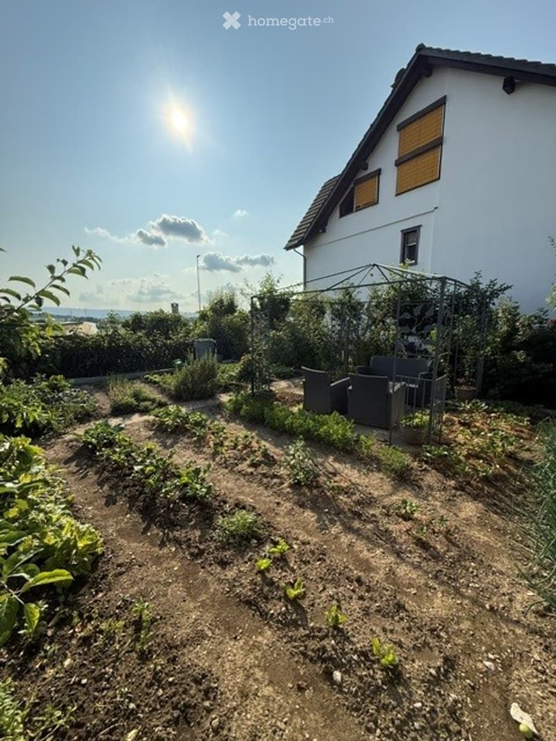 Garden area with raised beds, plants, and outdoor seating area near a modern house.