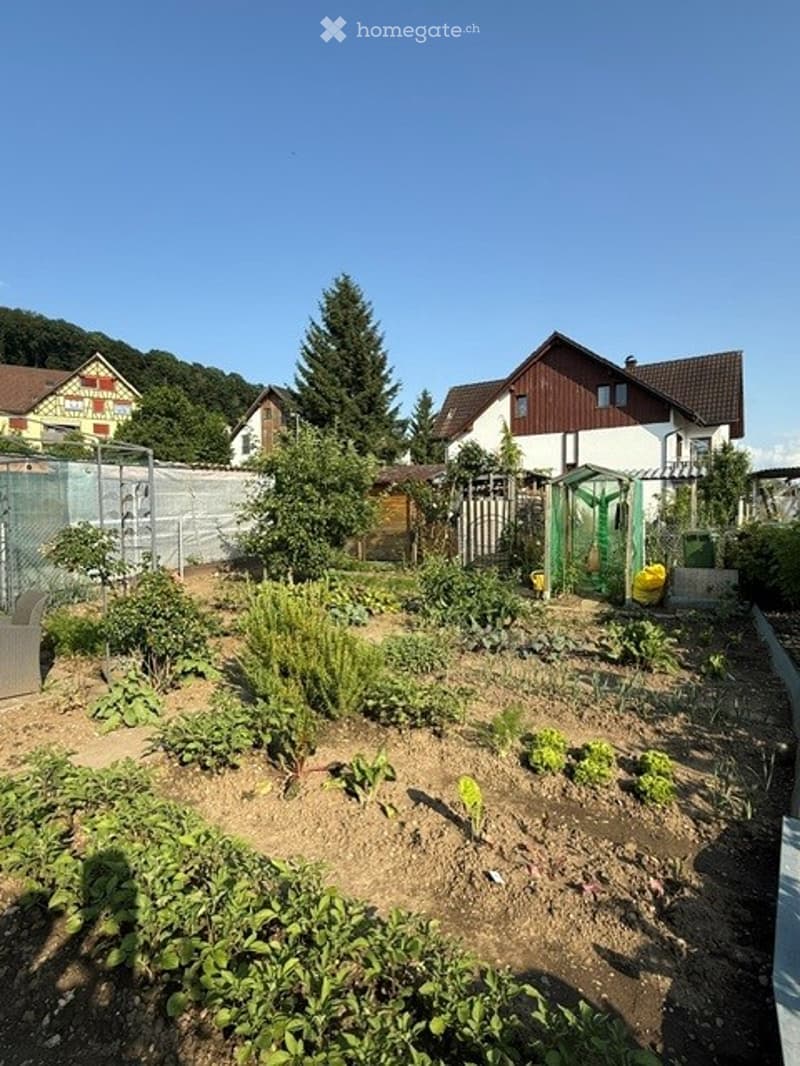 Well-maintained garden with various vegetables and plants, surrounded by residential houses and trees.