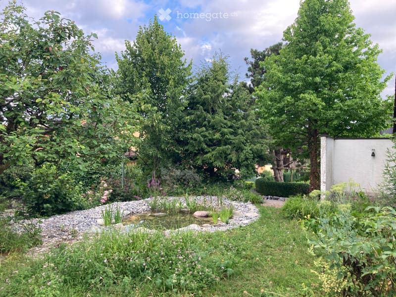 A well-maintained garden with a small pond, surrounded by trees, shrubs, and flowers. The area features a gravel path and a white wall in the background.
