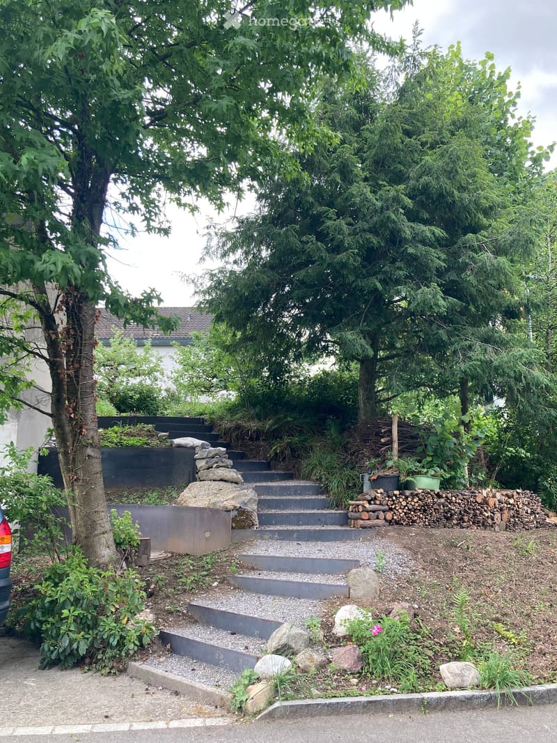 Garden area with stone steps, stacked firewood, and various plants and trees.