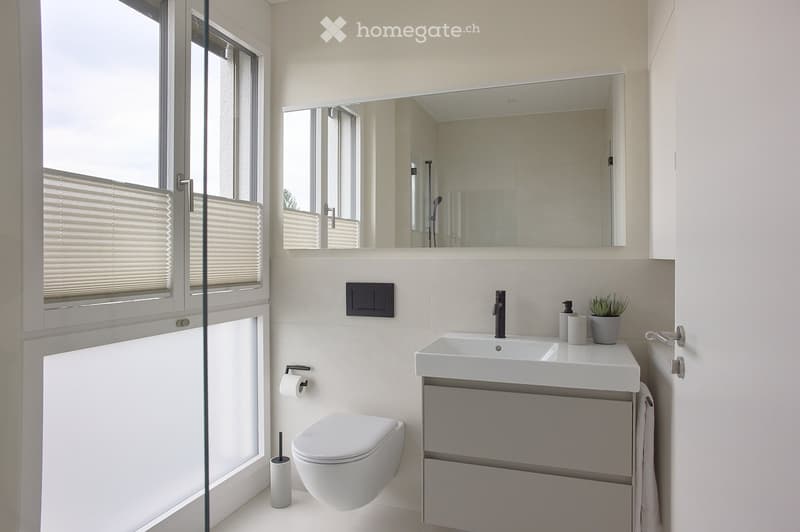 Modern bathroom with white tiles, a floating sink cabinet, a toilet, a large mirror, and a glass shower enclosure. The space includes a small potted plant on the sink counter and a toilet paper holder near the toilet.